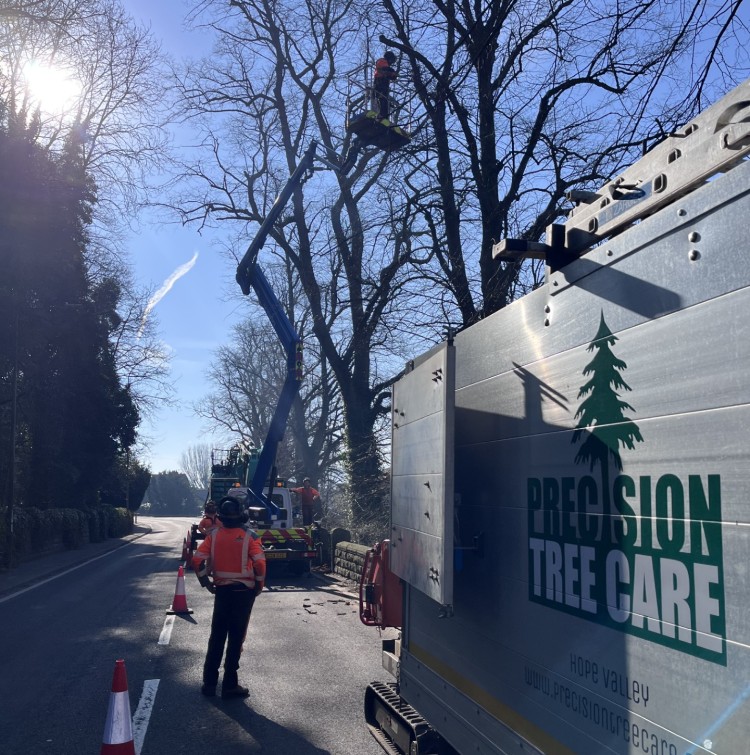 Peak District Tree Surgeons