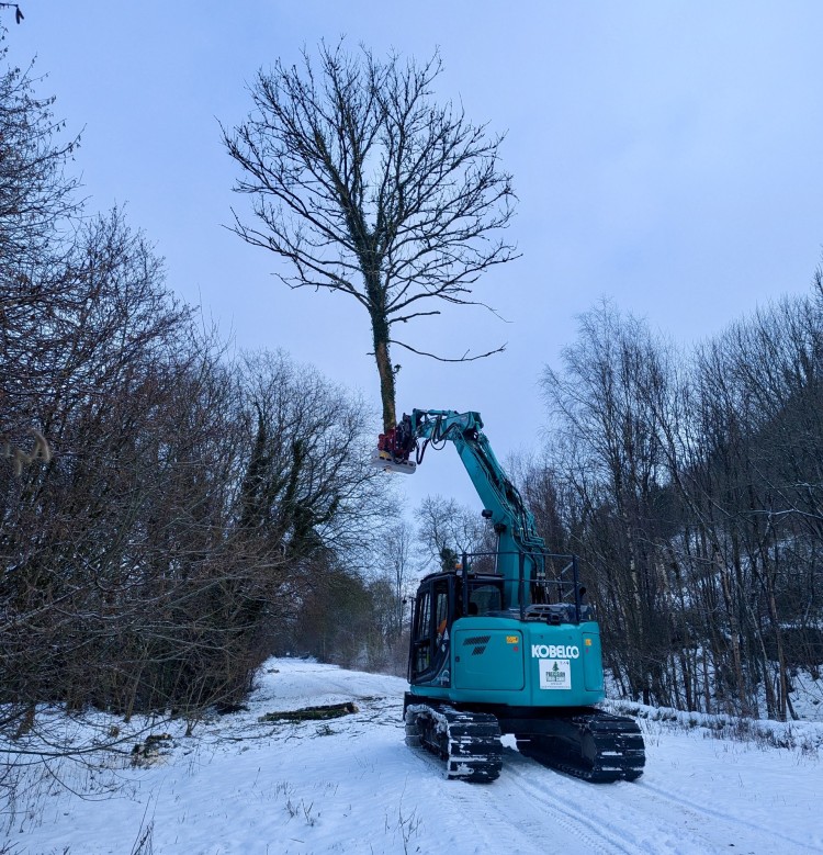 Peak District Tree Surgery