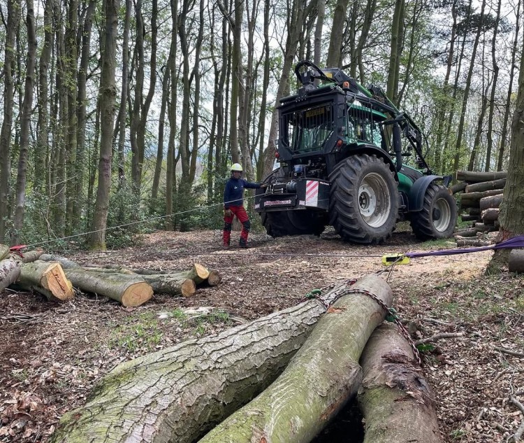 Peak District Tree Surgery Service